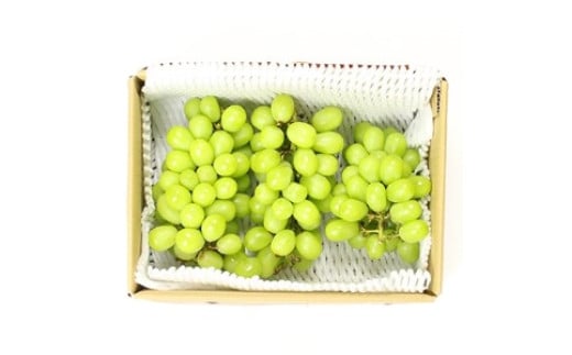 
            青木村産シャインマスカット(約1.2kg)
          