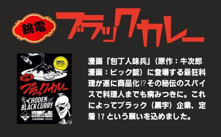 銚電 ブラックカレー 30食 レトルトカレー 銚子電気鉄道