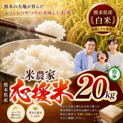 ふるさと納税 玉名市 【令和7年産】 暮らし生活 米農家 応援米(白米) 20kg