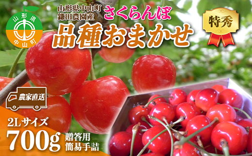 《2025年度先行受付》 農家直送 山形県中山町産 さくらんぼ品種おまかせ【特秀】 2L 贈答用 簡易手詰 700g 期間限定 数量限定 鎌田農園 果物 くだもの フルーツ サクランボ F4A-0093
