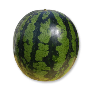 1116.鳥取県産 金色羅皇スイカ 1玉 7-9キロ前後（こちらの返礼品は、大栄西瓜ではありません）