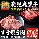 【ふるさと納税】H-101 肉質最高ランク5等級 鹿児島黒牛すき焼きセット(計約600g)国産 九州産 鹿児島産 国産牛 牛肉 5等級 霜降り すきやき しゃぶしゃぶ セット【鹿児島いずみ農業協同組合】a-36-10