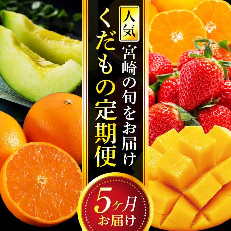 フルーツ 定期便 フルーツ [人気 くだもの 果物 全5回]