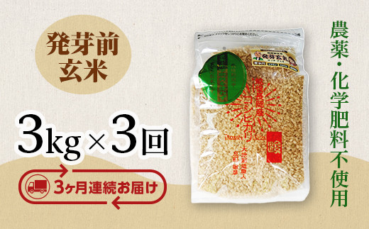 
E1-H033【3ヶ月連続お届け】新潟県長岡産コシヒカリ 発芽前玄米 3kg
