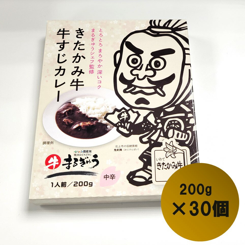 【ふるさと納税】 きたかみ牛 牛すじ カレー （ 200g × 30個 ）中辛 タイプ レトルト カレー 黒毛 和牛 西部開発農産 備蓄 防災