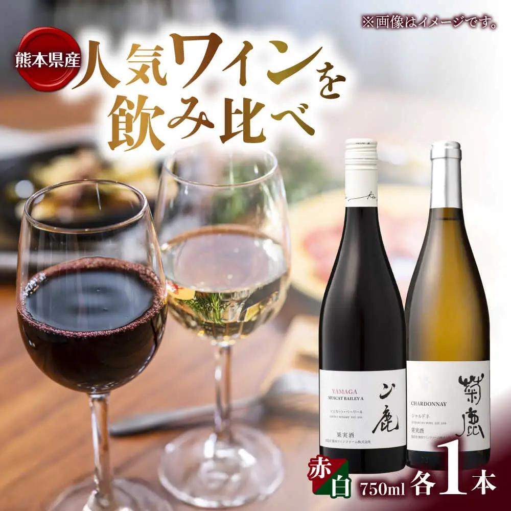  菊鹿シャルドネ&山鹿マスカットベーリーAワイン2本セット化粧箱付赤白ワインZFB006