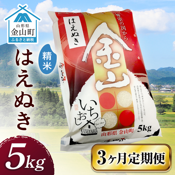 令和7年産 金山産米 はえぬき 【精米】（5kg）×3ヶ月  計15kg 定期便 米 お米 白米 ご飯 精米 ブランド米 送料無料 東北 山形 金山町  F4B-0642