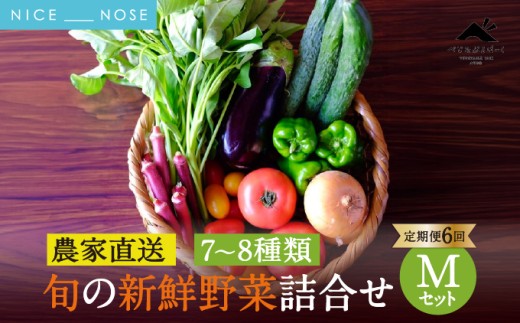 [定期便 6回] 【大阪能勢産】 《農家直送》 べじたぶるぱーくの旬の新鮮野菜詰合せ Mセット (7～8種類) | 6回(隔月) 定期便 6ヶ月 定期 野菜詰め合わせ 野菜 農薬 化学肥料不使用 新鮮 産地直送 季節 旬 | 大阪府 能勢町 送料無料