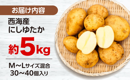 じゃがいも にしゆたか 5kg CGM001 ジャガイモ