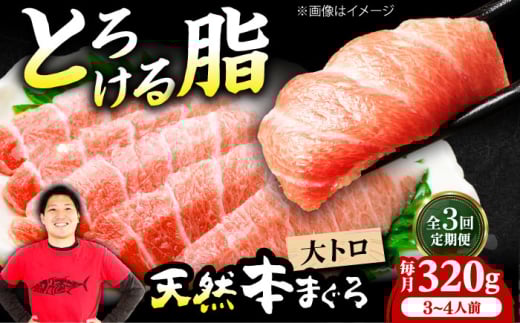 【全3回定期便】極上！たね熟天然本まぐろ大トロ(320g) 天然 マグロ 鮪 大トロ 刺身 魚 魚介 魚介類 海鮮丼 本マグロ 本まぐろ 本鮪 赤身 大トロ 冷凍 お刺身 お寿司 大阪府高槻市/本まぐろ直売所 [AOCE022] 本マグロ 刺身 寿司 海鮮 旨み 切り身 鮮度抜群 海鮮丼 お取り寄せ 高級魚 ギフト 贈答用 海の幸 家飲み ごちそう おつまみ 炙り丼 手巻き寿司 お祝い パーティー