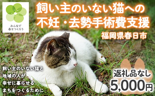 
            飼い主のいないねこと地域の人が幸せに暮らせるまちづくり支援 (返礼品なし・一口 5,000円) 猫 ねこ 地域猫 支援 TNR活動 去勢 【ksgsn07】【福岡県春日市】
          