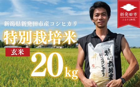 新潟産 特別栽培米 コシヒカリ 玄米 20kg 令和7年産 コシヒカリ 玄米 toushin026