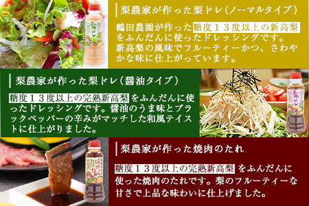 梨ドレッシングと焼肉のタレ3本 鶴田農園《60日以内に出荷予定(土日祝除く)》熊本県 荒尾市産 ドレッシング 焼肉のたれ タレ 梨 果物 フルーツ