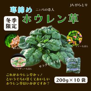 【先行予約/2026年12月上旬以降発送】【北海道平取町産】寒締めホウレン草（ちぢみほうれん草）200g×10袋 BRTO003