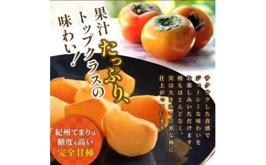 紀州てまり（和歌山県ブランド柿）6～7個入 こだわり農家厳選 先行予約 【2025年10月初旬頃から12月中旬頃順次発送】 / 柿 フルーツ 果物 かき 和歌山 かつらぎ 農家直送 贈答【kgr029