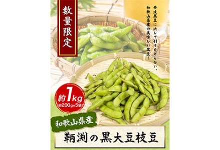 【数量限定】和歌山県産鞆渕の黒大豆枝豆 約1kg(200g×5袋入り) 紀の川市厳選館《10月上旬-11月上旬頃出荷》 和歌山県 紀の川市 豆 枝豆