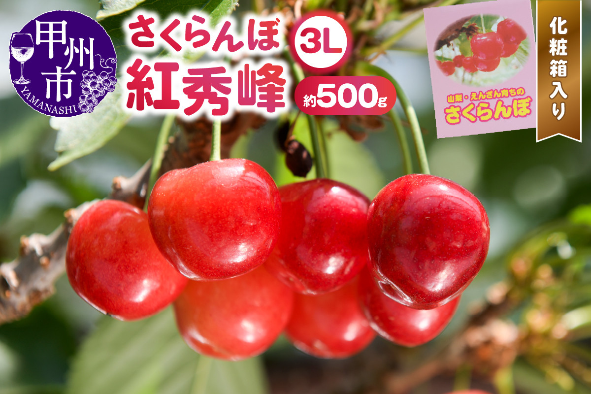 
            大粒さくらんぼ童夢の「紅秀峰」化粧箱（約500g 3Lサイズ）【2025年発送】（DOM）C5-141
          