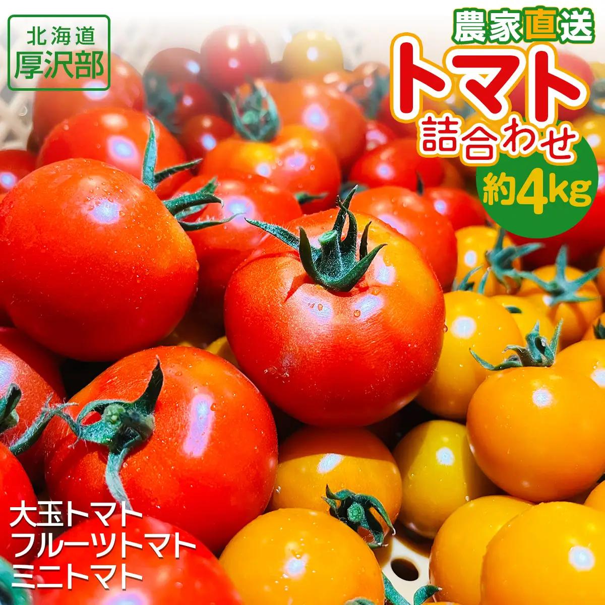 トマト詰合わせ（大玉・フルーツトマト・ミニトマト）約4kg ASO005