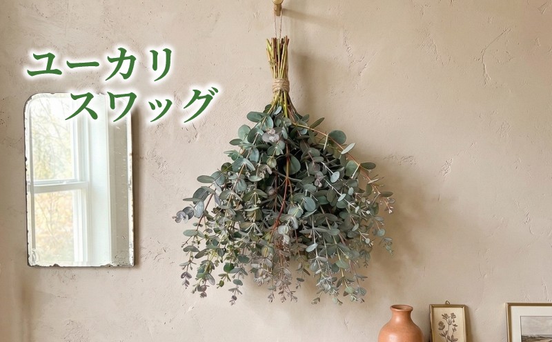 
                  フレッシュ グニユーカリ スワッグ / 約30cm 約30本 | 【2026年9月上旬頃より順次発送予定】 ユーカリ スワッグ ユーカリスワッグ ゆーかり 生葉 壁掛け インテリア ナチュラル ギフト 贈り物 グニユーカリ 愛媛県 松山市
                