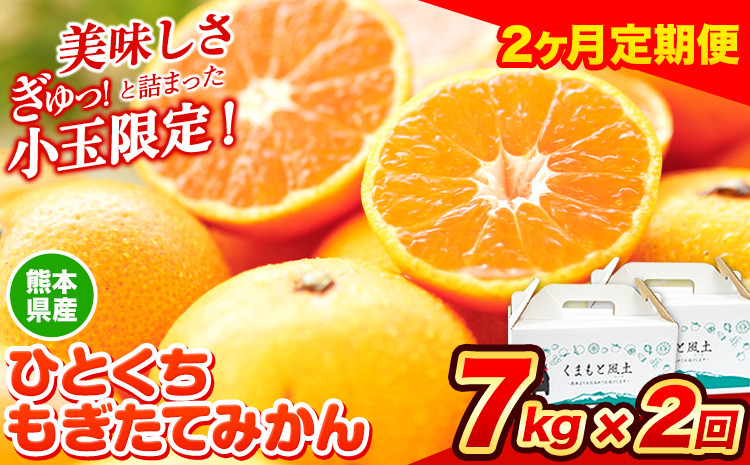 
                  【先行予約】【2ヶ月定期便】訳あり みかん ひとくちもぎたてみかん 約 7kg (3.5kg×2箱) S-3Sサイズ  S SS 3S ご家庭用 14kg 熊本県産 （荒尾市産含む） 小玉みかん 訳ありみかん ご家庭用みかん フルーツみかん 熊本みかん ちょっと訳あり 期間限定 フルーツ 秋 旬 柑橘 小玉 みかん 温州みかん《10月上旬-11月末頃出荷》 
                