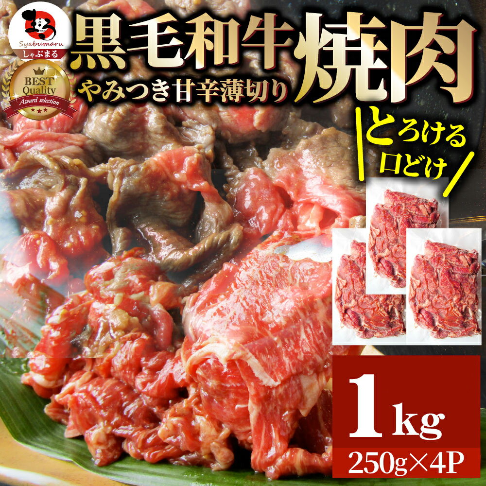 【ふるさと納税】1131-3　とろける黒毛和牛リッチな薄切り焼肉1kg(250g×4P) 秘伝のタレ漬け