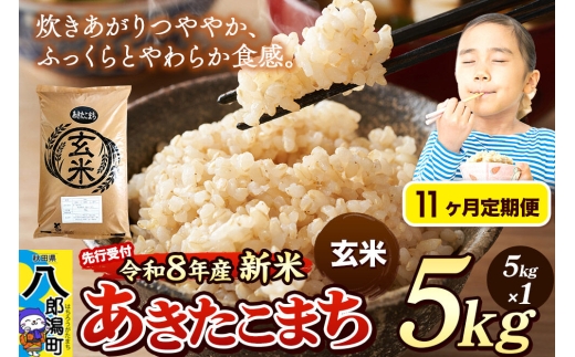 《令和8年産 新米受付》《定期便11ヶ月》米 あきたこまち 5kg【玄米】秋田県産 [新米 先行予約 先行受付 米 コメ 玄米 あきたこまち おいしい 美味しい 安全 自然の恵み]
