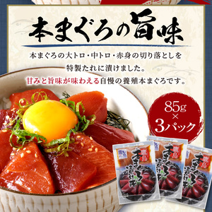 【A9-026】鷹島産本まぐろ 特製醤油に漬け込んだ本まぐろ漬け3人前（本マグロ 本まぐろ マグロ 鷹島産 海鮮 まぐろ 漬け丼 魚介類 大トロ 中トロ 赤身 松浦 海鮮丼 丼 セット 本格的）