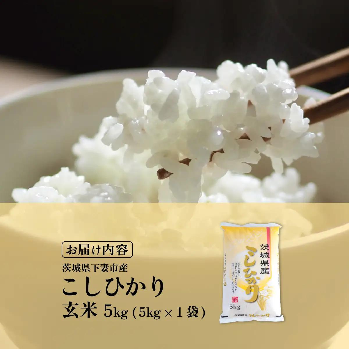 コシヒカリ 5kg 令和7年産 コシヒカリ 玄米