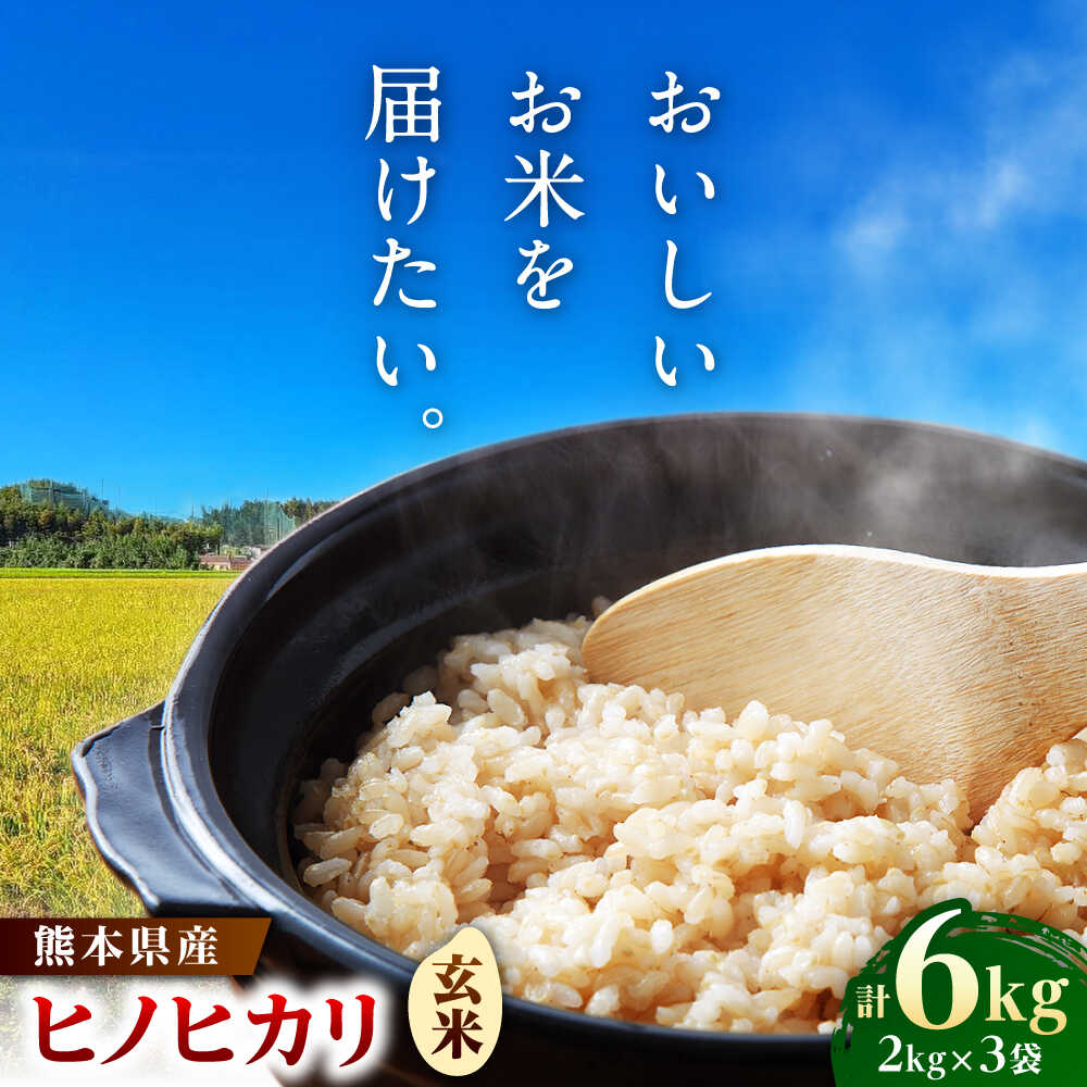 【ふるさと納税】【先行予約】ヒノヒカリ 玄米 6kg（2kg×3袋） 【株式会社 岩下農園】[ZFS005]