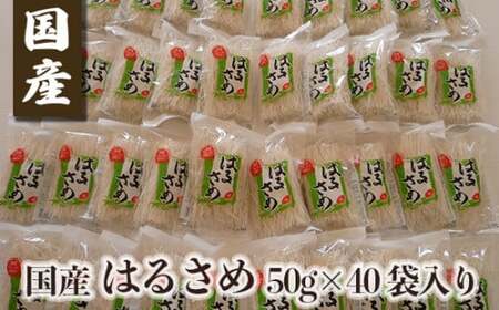 はるさめ 国産はるさめ 50g×40袋入り 【knms0001】