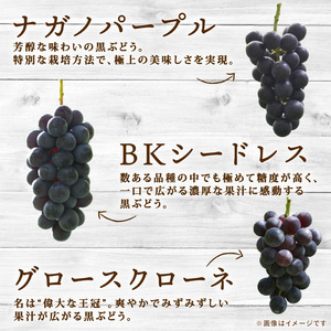 彩り豊かな完熟ぶどう 2～3房セット 1㎏ 【tbb03】