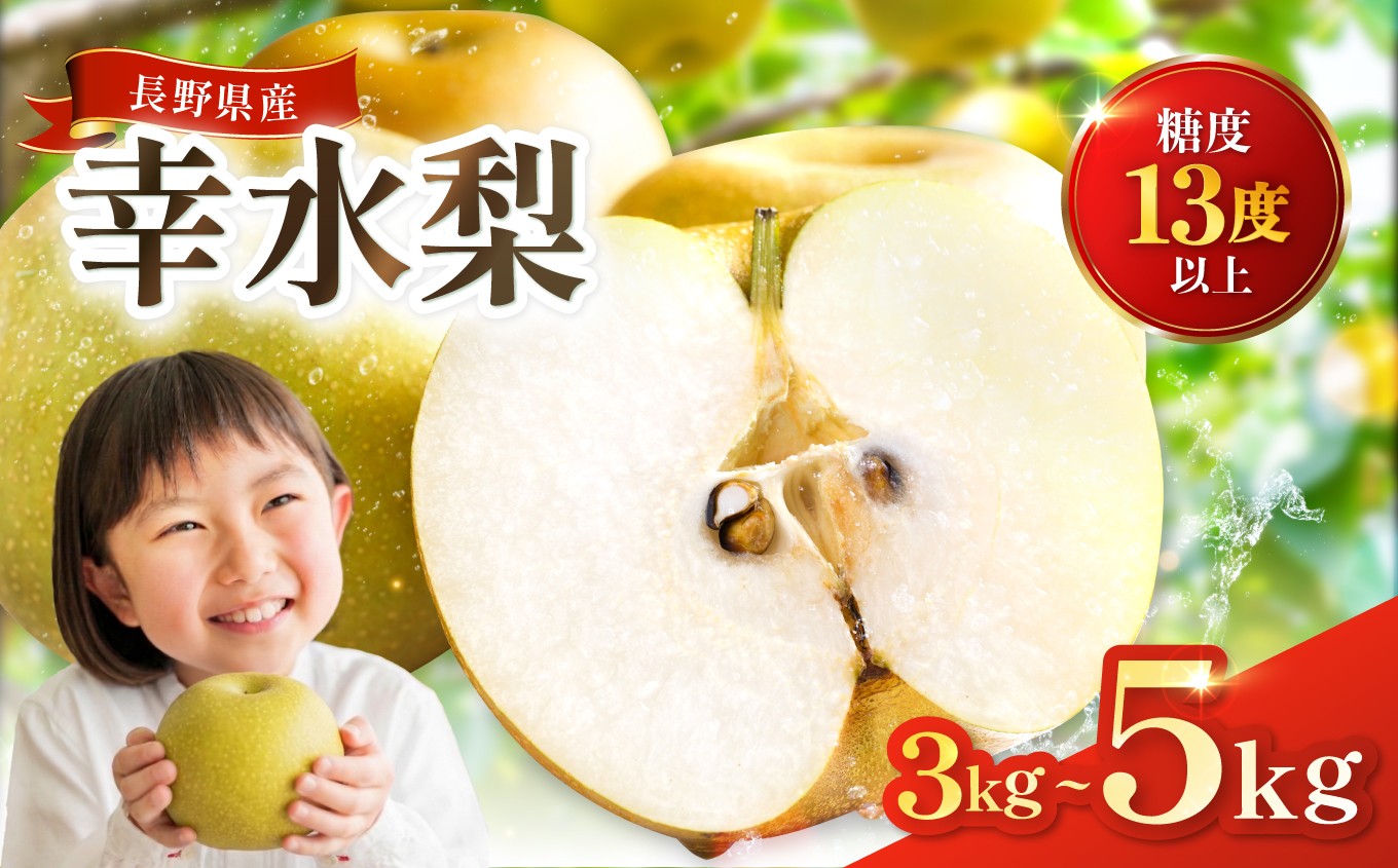 
                  【2026年先行予約】梨 幸水 糖度 13度 以上【選べる容量】約3kg 約5kg | 果物 くだもの フルーツ 幸水梨 梨 なし ナシ 新鮮 長野県 信州 南信州 飯田市
                