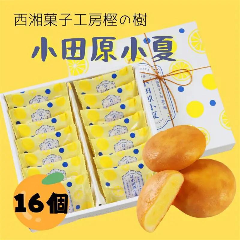 西湘菓子工房樫の樹　乳菓万頭小田原小夏16個入りギフト 【 お菓子 スイーツ 神奈川県 小田原市 お菓子】