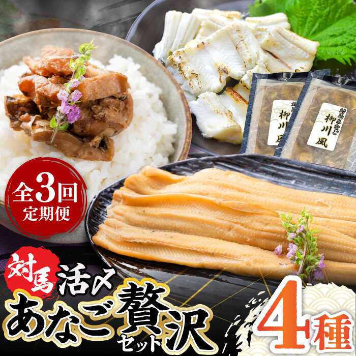 【ふるさと納税】【全3回定期便】対馬産 あなご 贅沢 セット 《対馬市》【対馬地域商社】九州 長崎 煮あなご 佃煮 アナゴ[WAC021] 65000 65000円