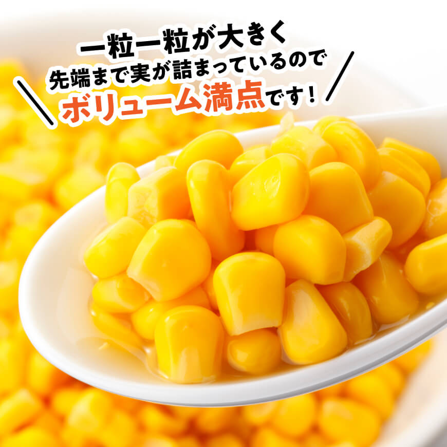 【令和7年発送】宮崎県産とうもろこし　スイートコーン「ゴールドラッシュ」3L×3本【新鮮 農家直送 トウモロコシ 産地直送 季節限定 期間限定 宮崎県産 九州産】[D09105]