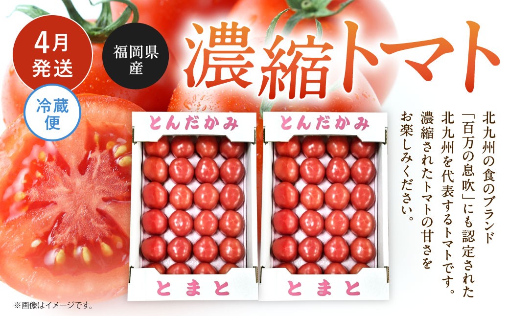 【福岡県産 特産品 年4回定期便】うまうまもぐもぐ 厳選 野菜 果物 セット