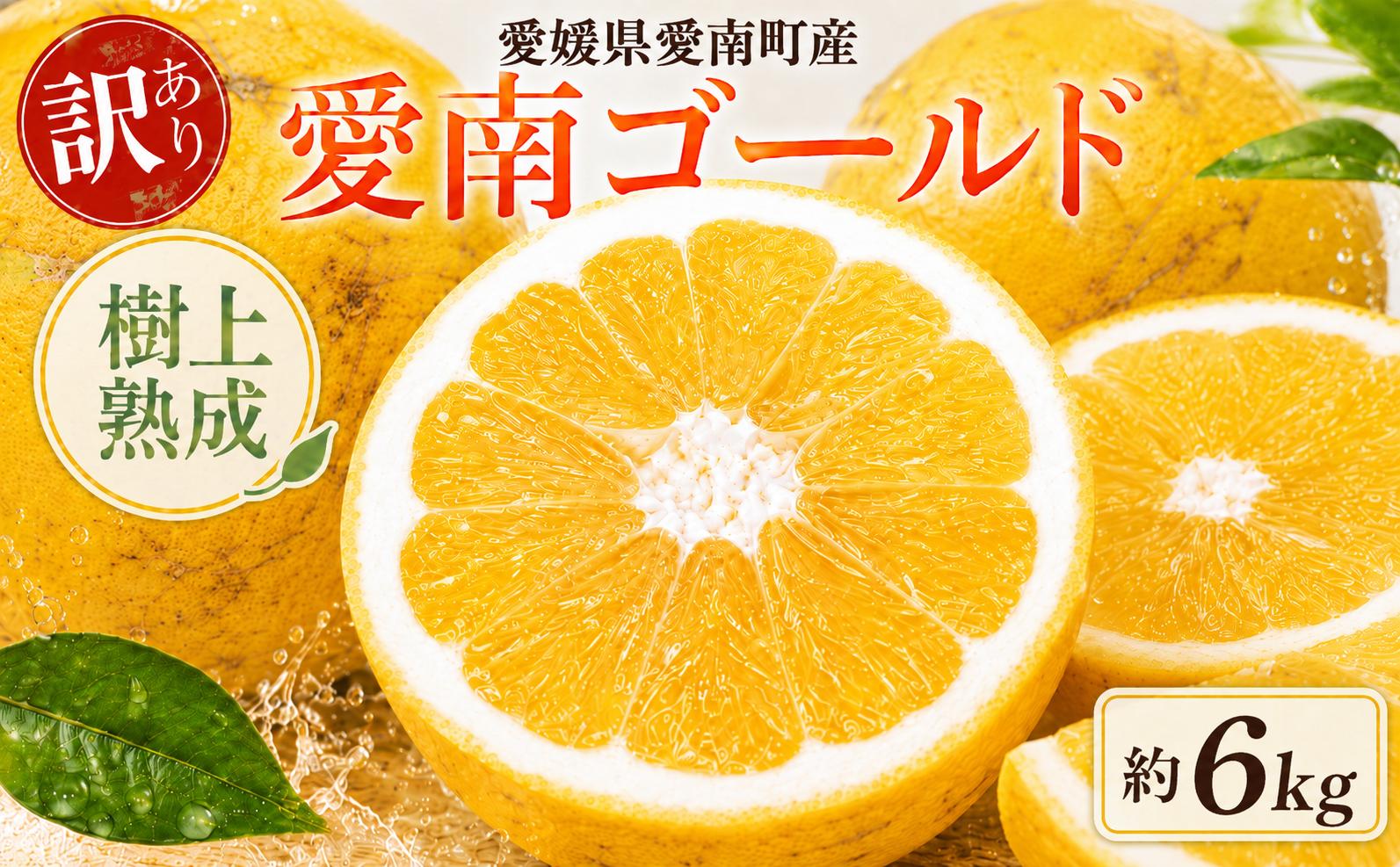 
                  木成り 追熟 訳あり 愛南ゴールド 約6kg 河内晩柑 柑橘 フルーツ 果物 蜜柑 みかん くだもの mikan 家庭用 傷 不揃い 樹上 熟成 サイズミックス かわち ばんかん かんきつ 和製 グレープフルーツ デザート 果実 果汁 甘い ジューシー おいしい 特産品 国産 農園 直送 産地 直送 資格 大学 イノベーター エニシトラス 愛媛県 愛南町 
                