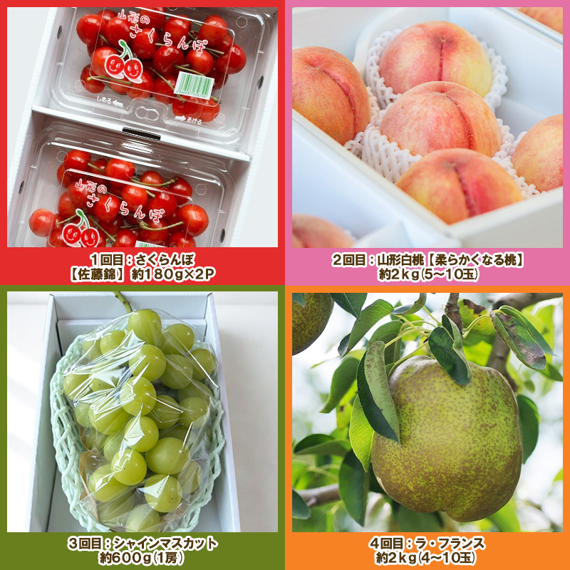 【定期便4回】ノノハナフルーツ 山形人気のフルーツ 食べ切り直送便【令和8年産先行予約】FS25-069