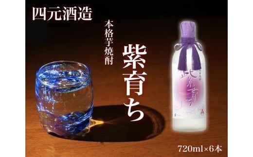 【四元酒造】紫育ち 化粧箱入り 720ml×6本セット（アルコール分25％）【焼酎 芋焼酎 芋 いも お酒 アルコール 本格 種子島産 人気 おすすめ 鹿児島県 中種子町 ふるさと納税 送料無料 N171】