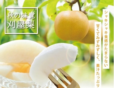 SA2934　和梨 「刈屋梨」　約3kg(8～9玉入)　品種おまかせ(幸水、豊水、南水、あきづき) 