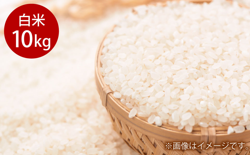 
            令和7年度産 岡山県倉敷市産 きぬむすめ 白米 10kg【2025年10月上旬より発送開始】
          