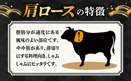 【12回定期便】【飛騨牛】A5等級 ロース 肩ロース すき焼き用 1kg [TAZ023] 肩ロース