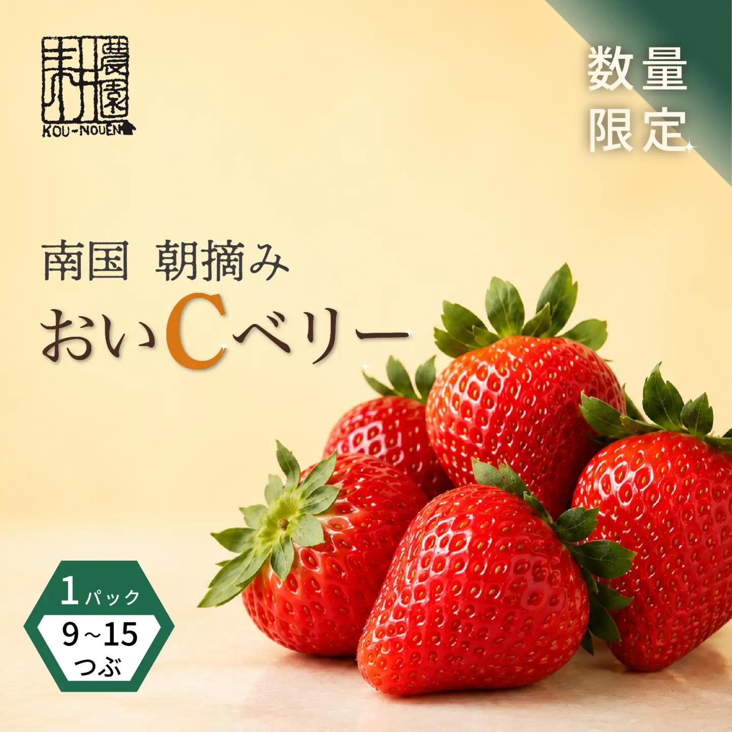 先行予約 いちご 苺 おいCベリー 贈答品 1パック：9～15粒 （2027年1月発送開始） | 厳選 贈り物 ギフト お取り寄せ 苺 いちご 大粒 南国市