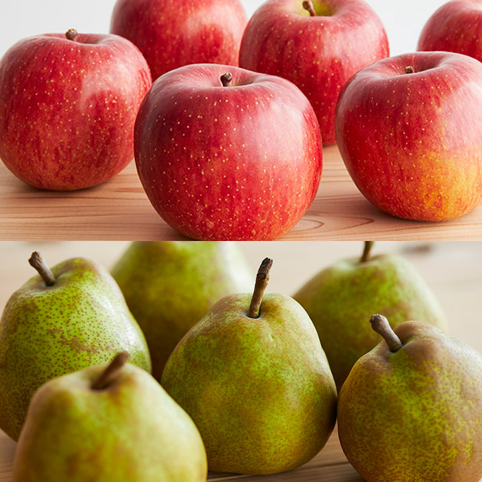 【定期便4回】ふるさと山形のおいしい定期便 【令和8年産先行予約】FU23-765