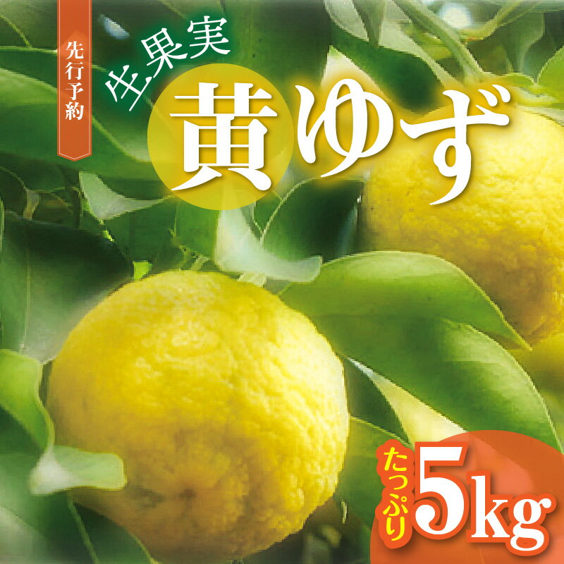 【ふるさと納税】訳あり 黄ゆず 生果実 たっぷり5kg