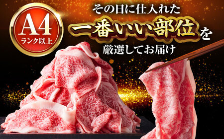【A4-A5】博多和牛 大判霜降り 贅沢切り落とし 250g [BGAB108]