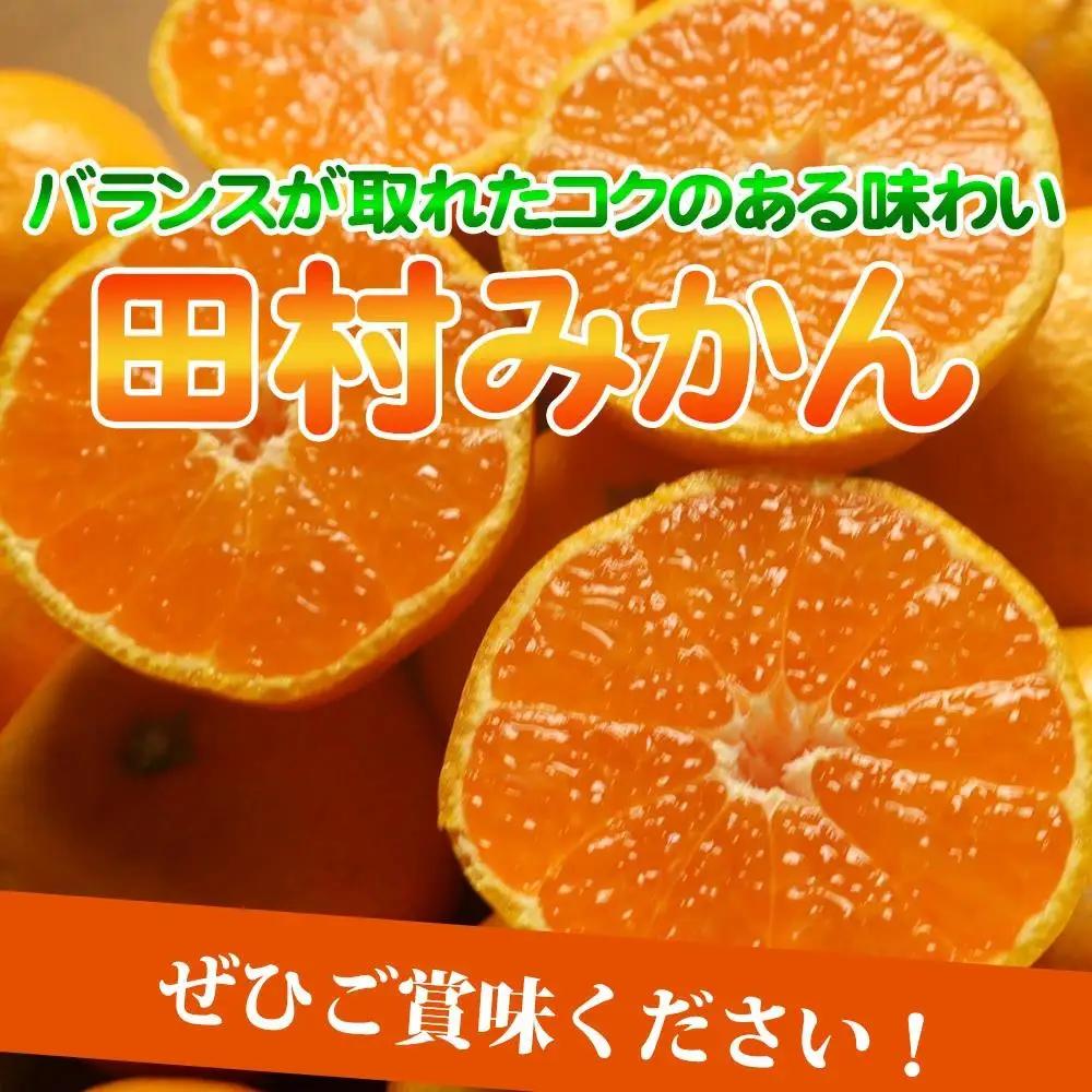 高級ブランド田村みかん　10kg　大玉サイズ［2026年11月下旬以降発送］［先行予約］［UT15］