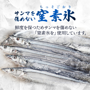 期間限定 鮮 さんま 8本入 (1尾 100g~120g) ＼ 生さんま ／