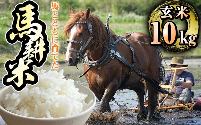 
            【選べる発送月！】 岩手県産 新米 馬耕米 あきたこまち 玄米 10kg 【スタディア】 お米 米 こめ コメ 馬ふん堆肥 使用 ご飯 ごはん ライス おにぎり 弁当 単一原料米 10キロ １０kg 馬耕 馬 ウマ うま 産地直送 国産 おすすめ 人気 自宅用 家庭用 仕送り プレゼント 常温 常温発送
          