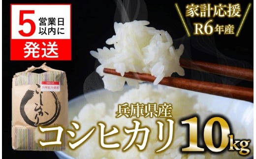 【スピード発送】【家計応援_数量限定】令和6年産 コシヒカリ 10kg 白米  (22-66) 米 お米 10kg 米10kg 兵庫県産 こしひかり コシヒカリ 西脇市産 令和６年産 R6年産 2024年産 精米